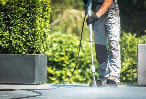 Best Solar Panel Cleaning  in Glenwood, MN