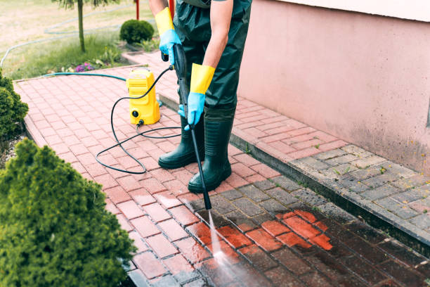 Professional  Pressure Washing Services in Glenwood, MN