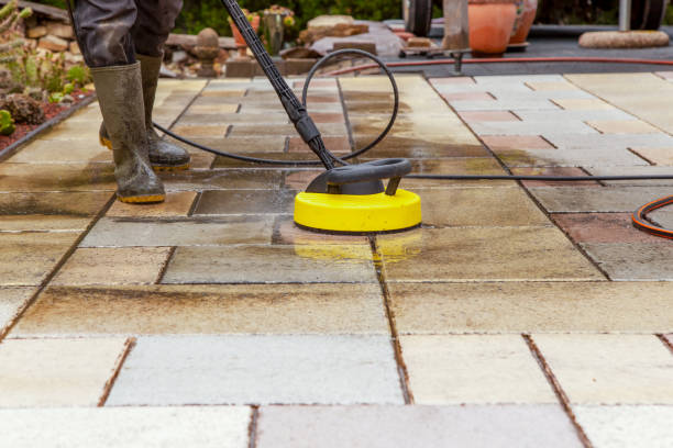 Best Residential Exterior Washing  in Glenwood, MN